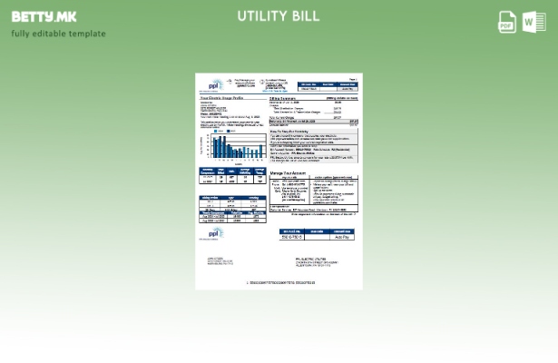 Модерен стил USA PPL Шаблон верзија на сметки за електрична енергија 1